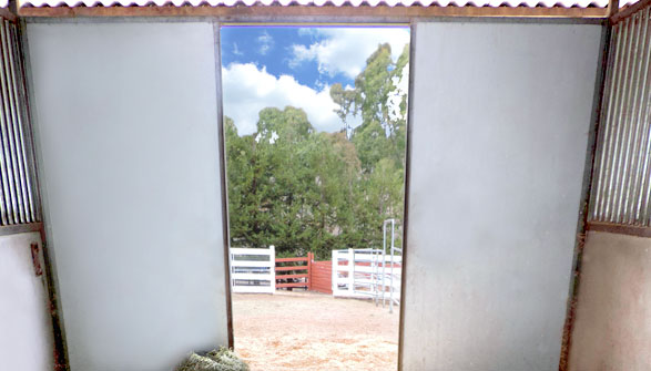 12x12 matted, generously bedded stalls with private runs.